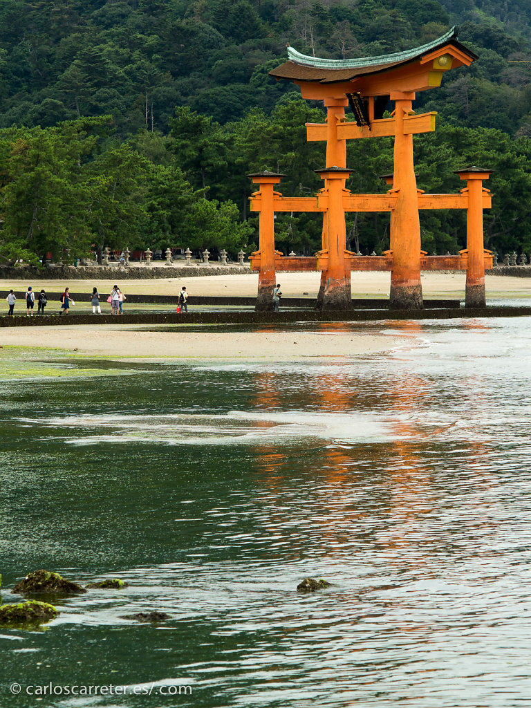 Torii de Itsukushima - Miyajima
