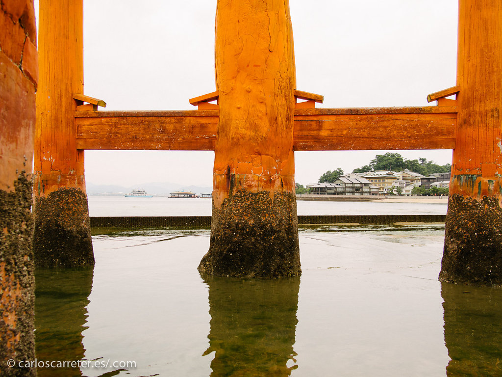 La gran Torii de Itsukushima - Miyajima