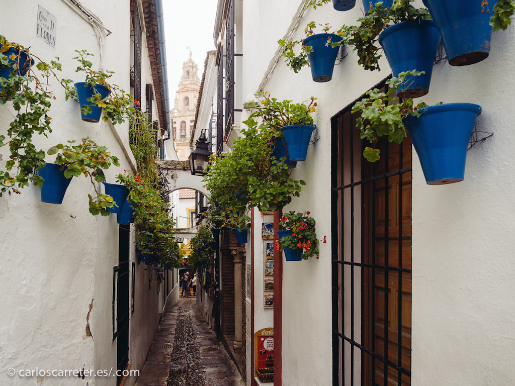 Calle de las Flores - Córdoba