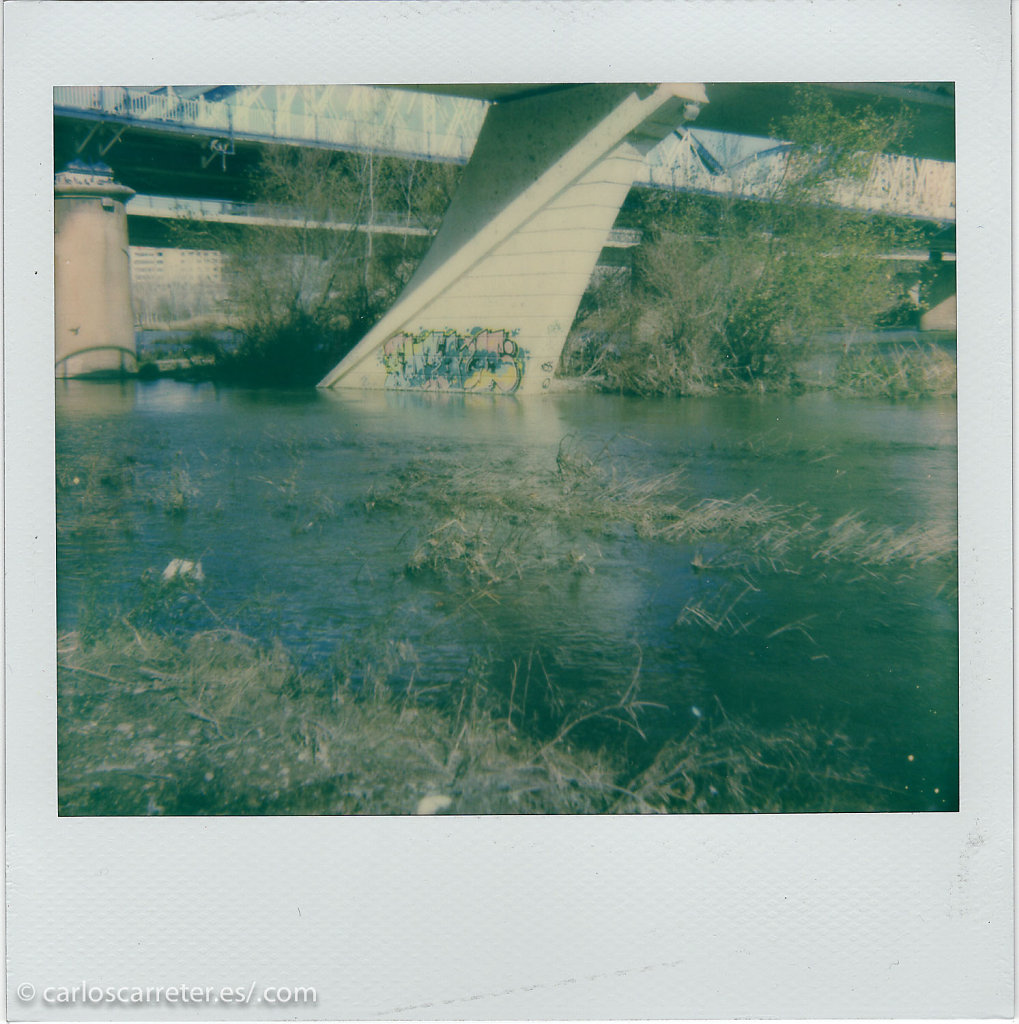 Polaroid Paseo por el Ebro